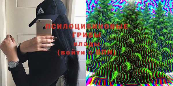 хмурый Заволжье